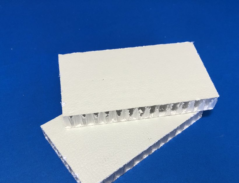 Plastic honeycomb wall panels for modular clean rooms-875